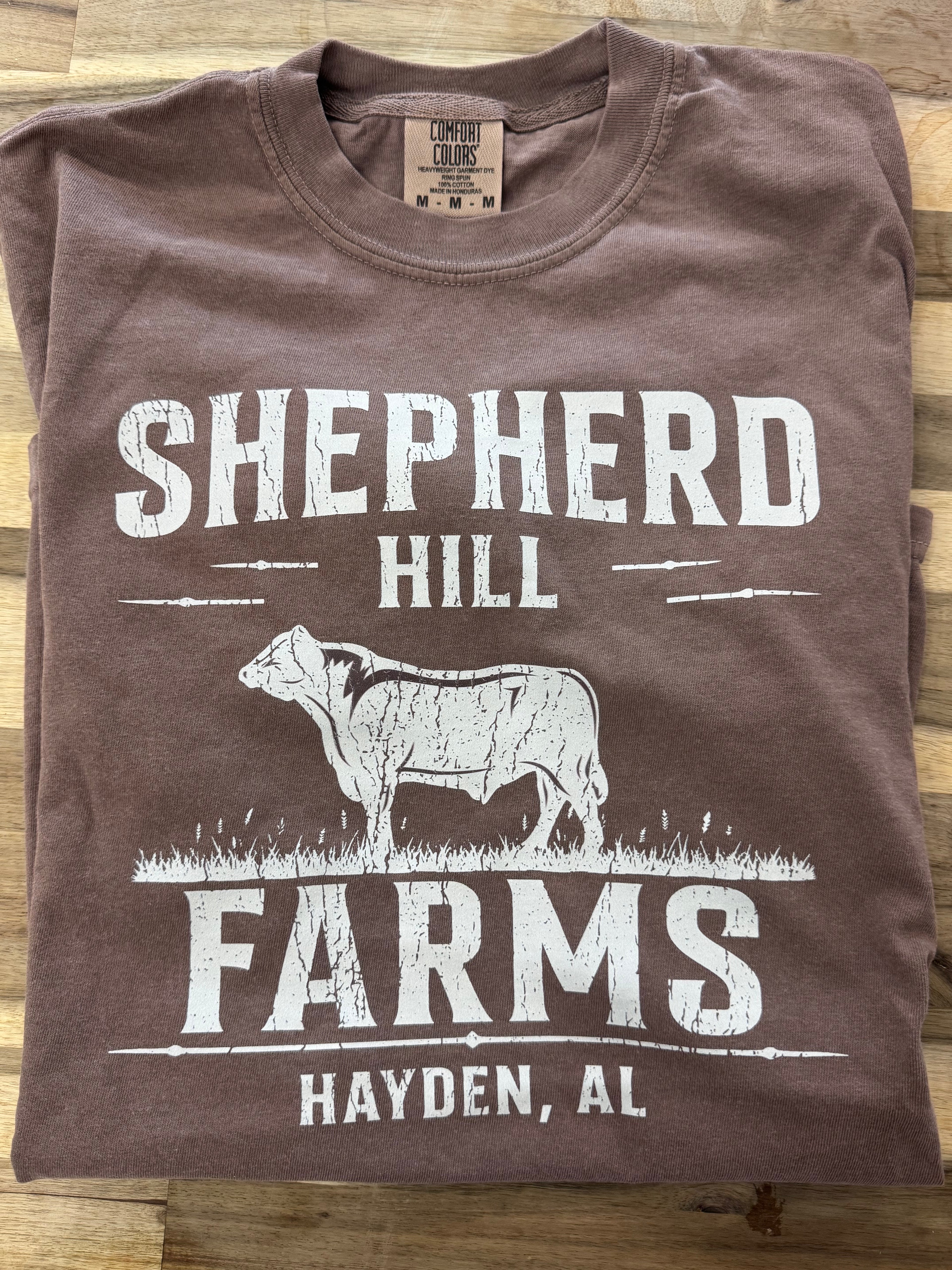 Adult T-shirt